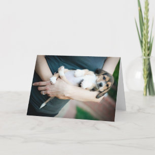 Beagle Babe In Arms Card
