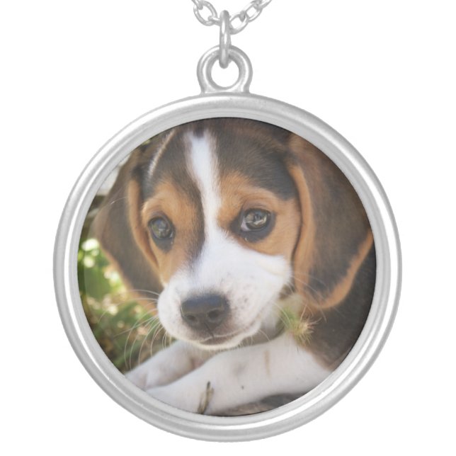 Beagle Baby Dog Silver Plated Necklace (Front)