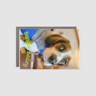 Beagle Bailey Car Magnet