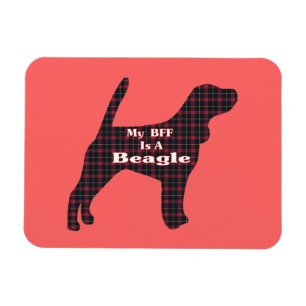 Beagle BFF Magnet