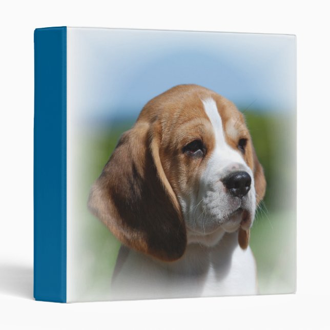 Beagle Binder (Front/Spine)