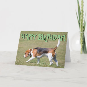 Beagle birthday card