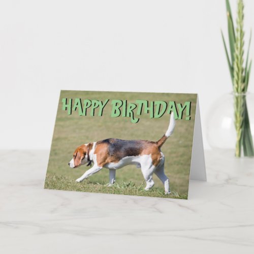 Beagle birthday card