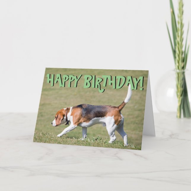 Beagle birthday card (Front)