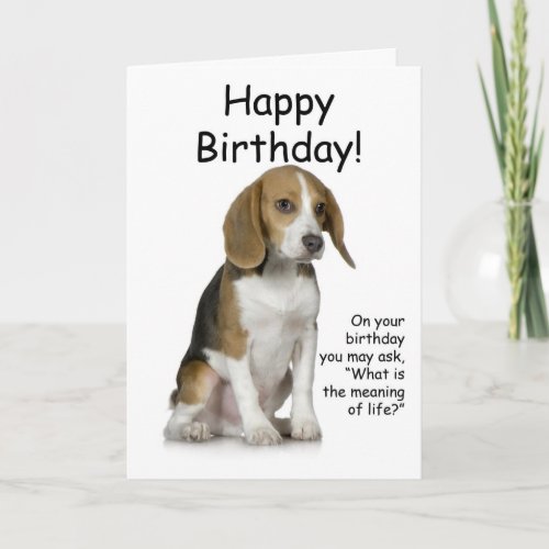 Beagle Birthday Card