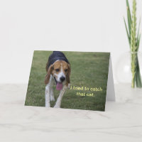 Beagle Birthday Card