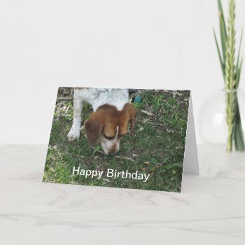 Beagle Birthday Card by Rinchen365flower at Zazzle