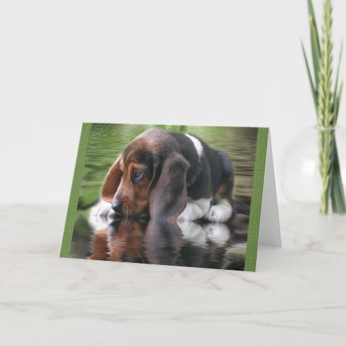 Beagle Birthday Card
