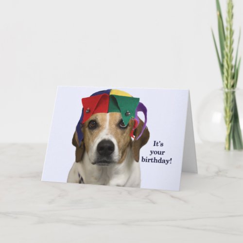 Beagle Birthday Card by Focus for a Cause