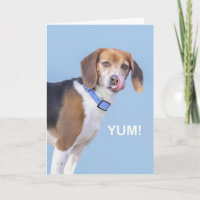 Beagle Birthday Card by focus for a Cause