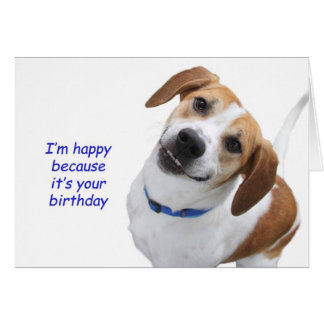 Beagle Birthday Cards | Zazzle