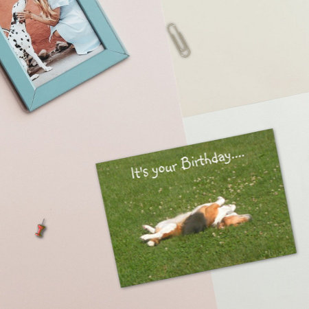 Beagle Birthday Card (funny)