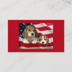 Beagle Breeder Business Card