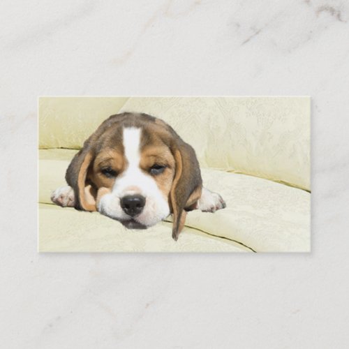 Beagle Breeder Business Card