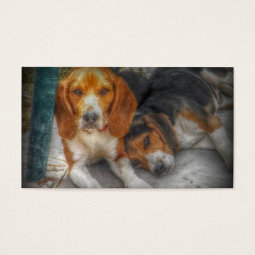 Customizable Beagle Brothers Business Card