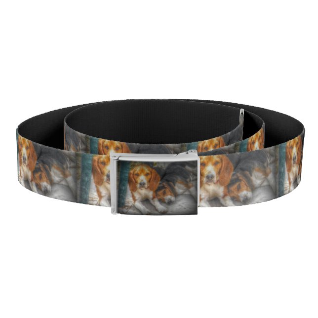 Beagle Brothers Belt (Coil)