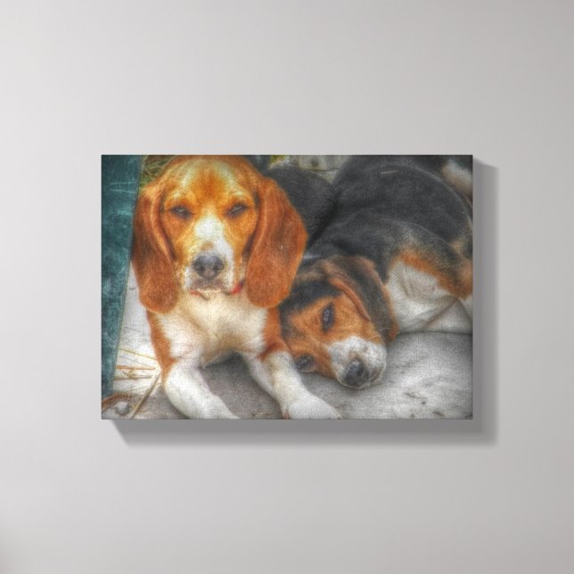 Beagle Brothers Canvas Print (Front)