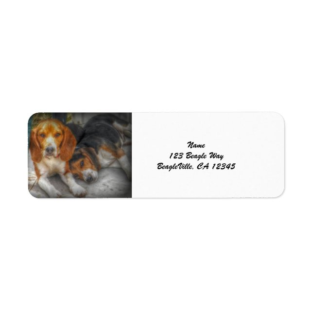 Beagle Brothers Label (Front)