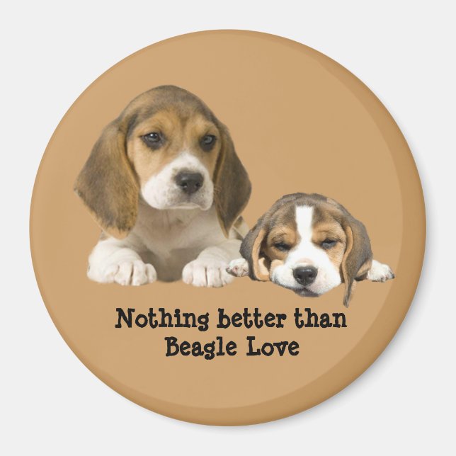 Beagle Buddies Magnet (Front)