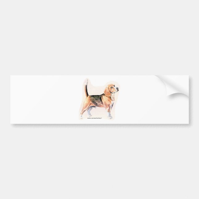 Beagle Bumper Sticker (Front)