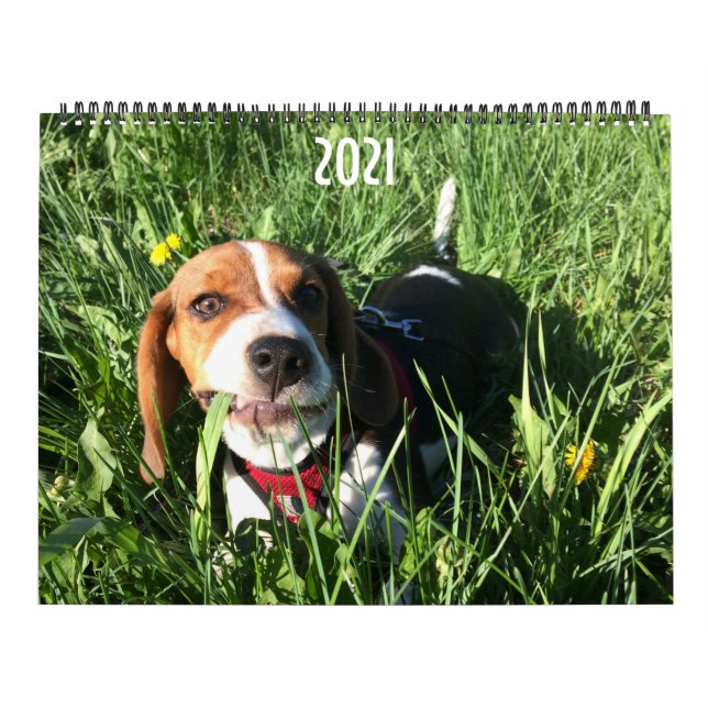 Beagle Calendar 2021 (Cover)