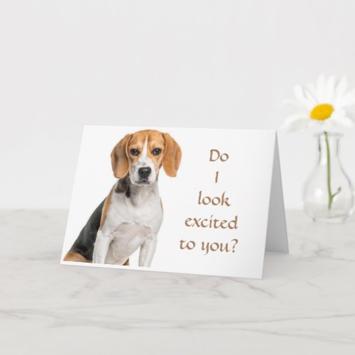 BEAGLE CANT BELIEVE HOW YOUNG YOU LOOK CARD