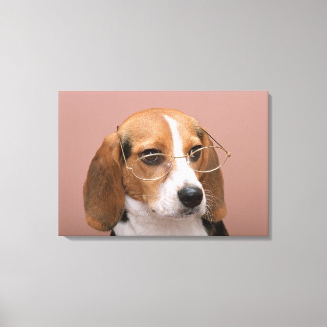 Beagle Canvas Print (Front)
