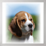 Beagle Canvas Print