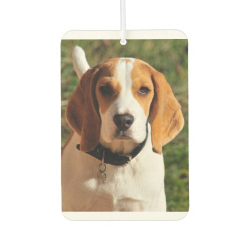 Beagle Car Air Freshener