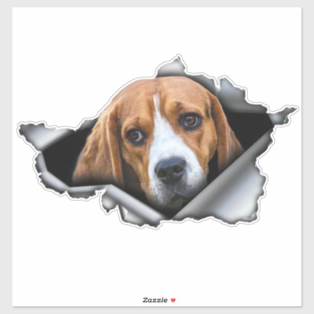 Beagle car decal, Beagle magnet, Beagle sticker (Sheet)