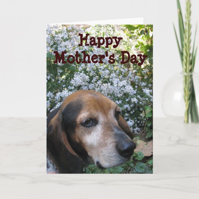 Beagle Card (Front)