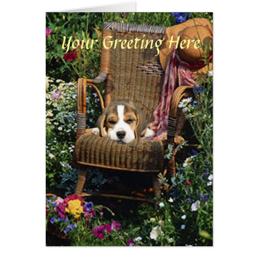 Beagle Card In Garden Chair (Front)