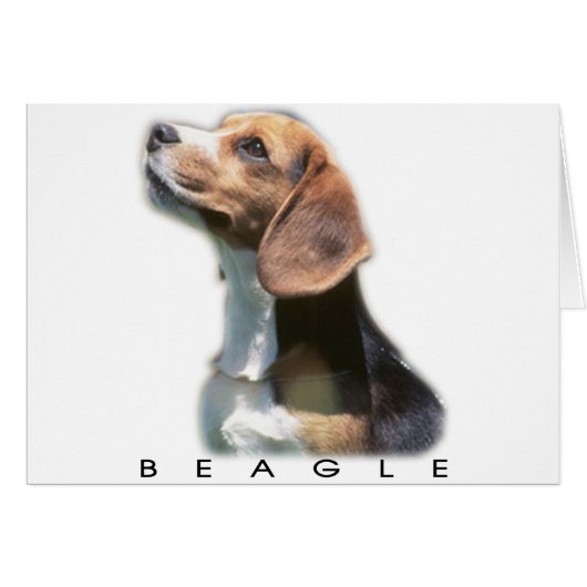 Beagle Cards (Front Horizontal)