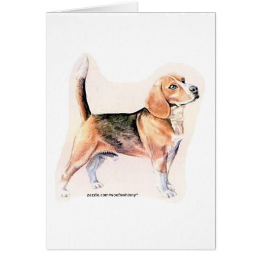 Beagle Cards (Front)