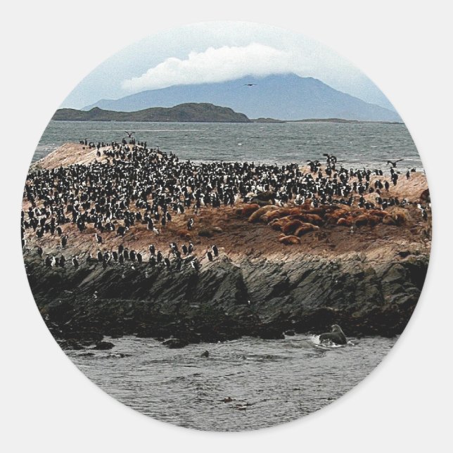 Beagle Channel Classic Round Sticker (Front)