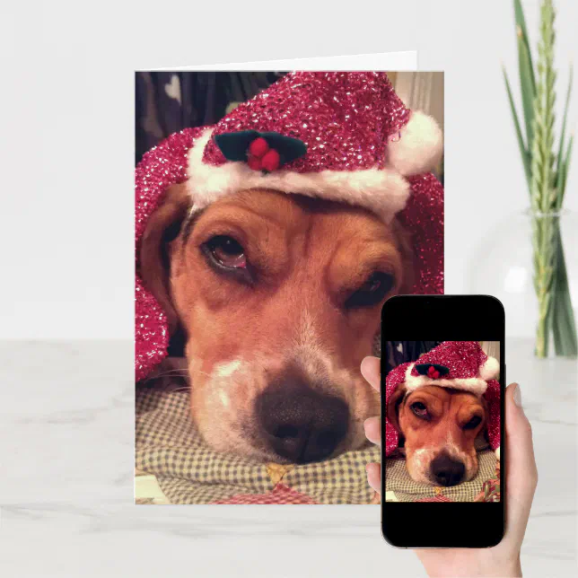 Beagle Christmas Card | Zazzle