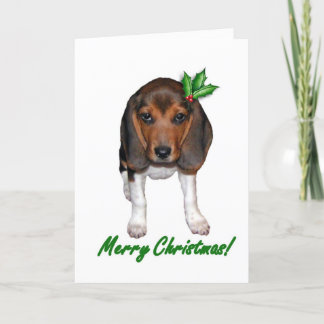 Beagle Christmas Card 
