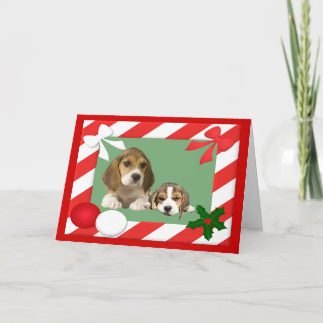 Beagle Christmas Card Frame | Zazzle