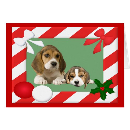 Beagle Christmas Card Frame
