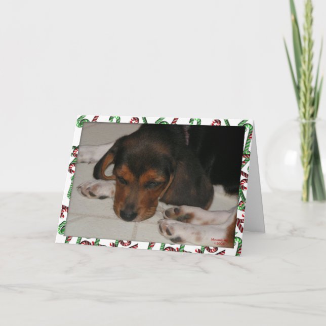 Beagle Christmas Card (Sleepy) (Front)