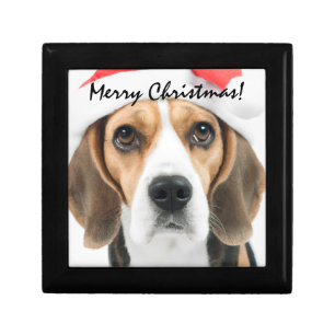 Beagle Christmas Gift Box