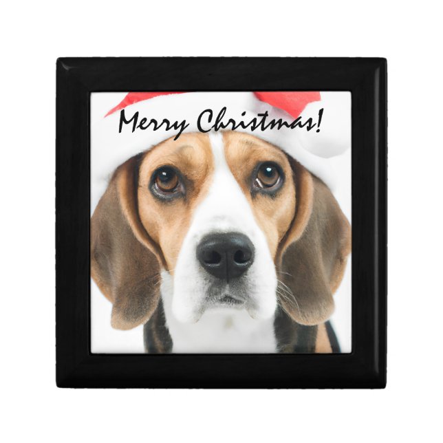 Beagle Christmas Gift Box (Front)