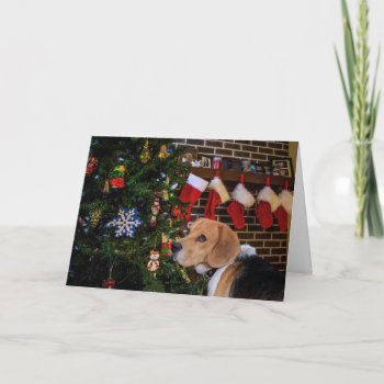 Beagle Christmas Holiday Card by deemac2 at Zazzle