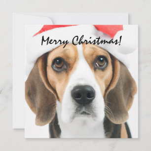Beagle Christmas Note Card
