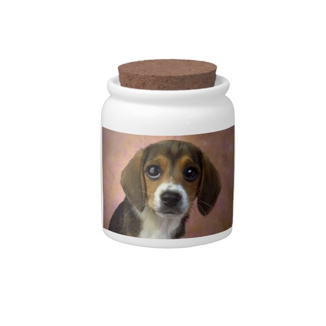 Beagle cookie jar (Front)