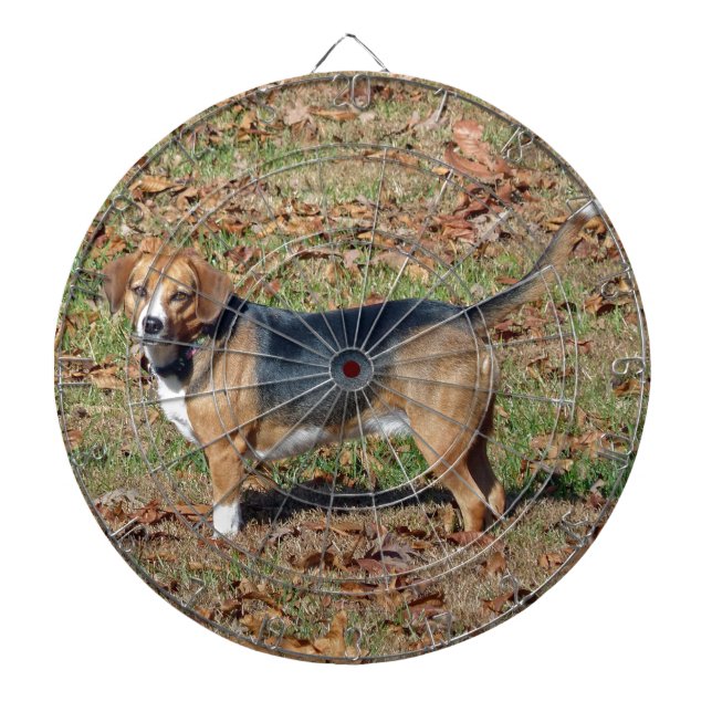 Beagle Dart Board (Front)