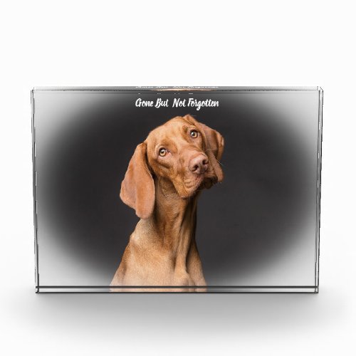 Beagle Dog Acrylic Award