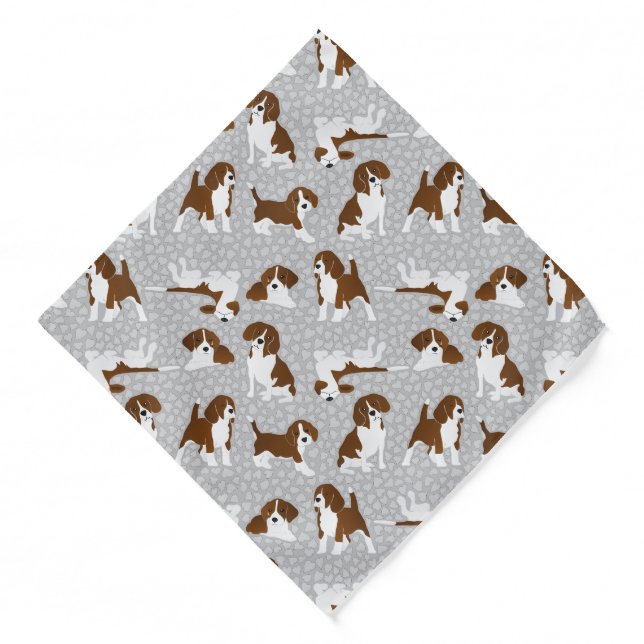 Beagle dog breed - grey bandana (Front)