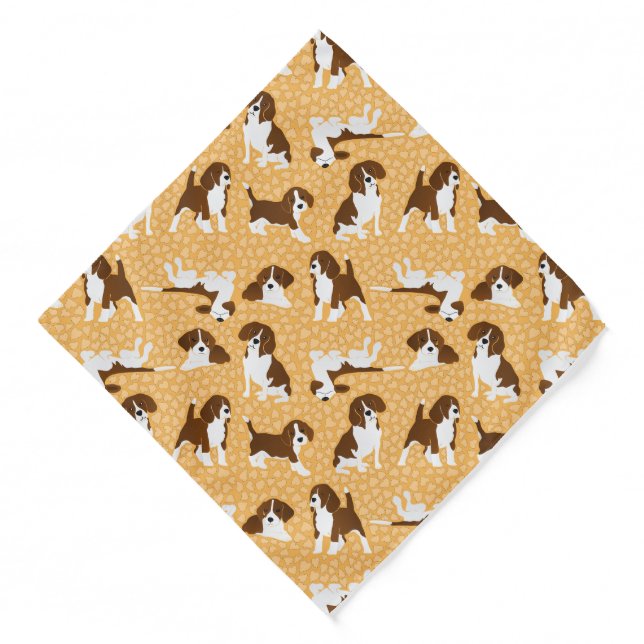 Beagle dog breed - orange bandana (Front)