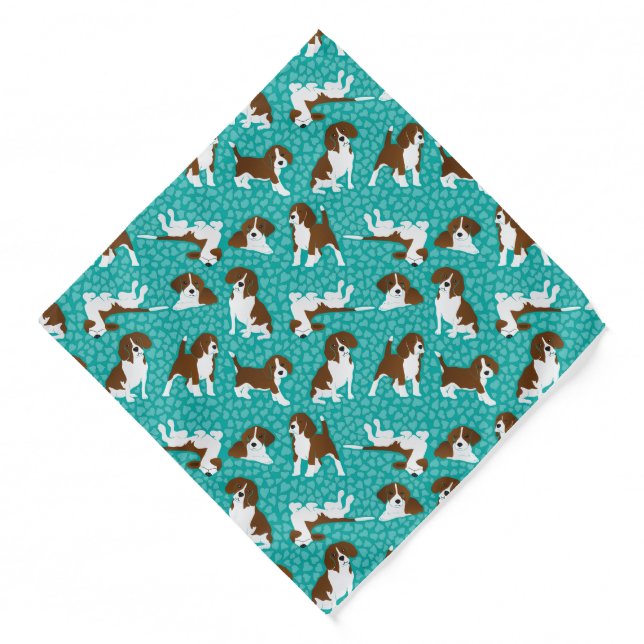 Beagle dog breed - turquoise bandana (Front)